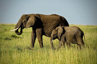 Kenya